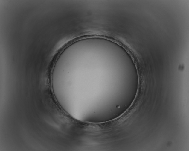 X0000096711215200802121218