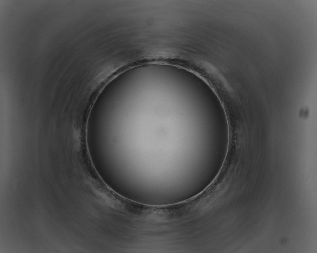 X0000096711217200802121218