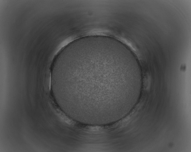 X0000096711219200802121218