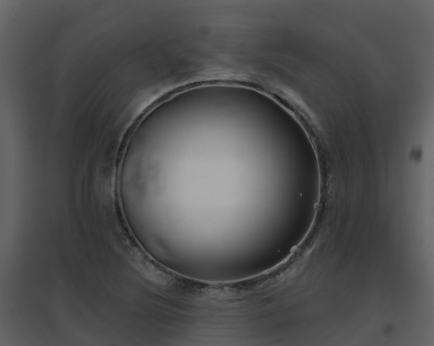 X0000096711220200802121218