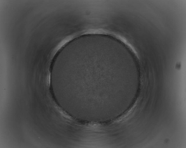 X0000096711221200802121218