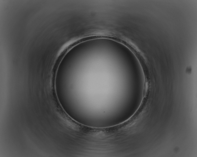 X0000096711222200802121218