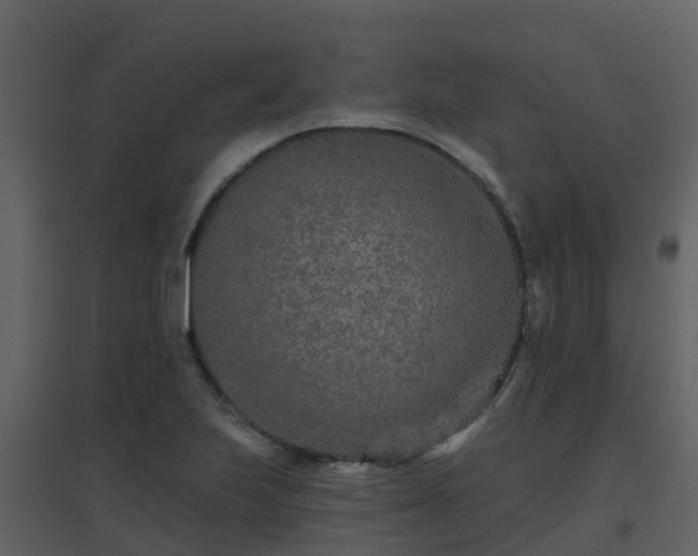 X0000096711223200802121218