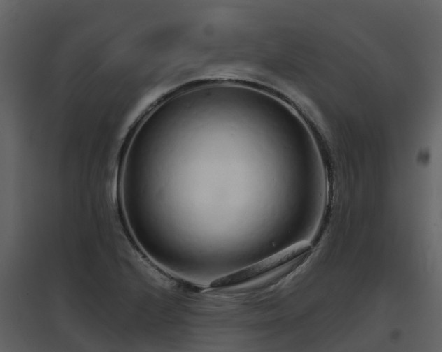 X0000096711224200802121218