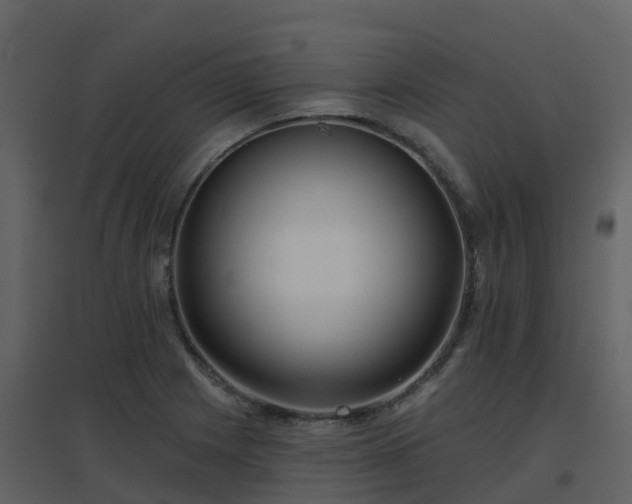 X0000096711225200802121218