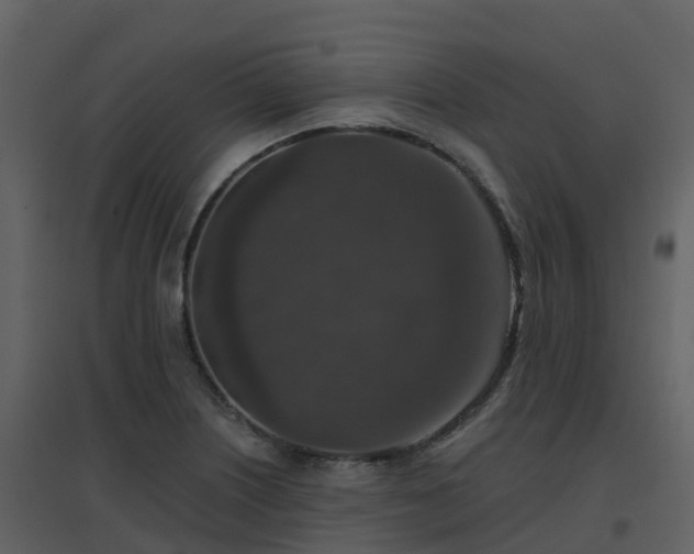 X0000096711226200802121218