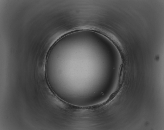 X0000096711228200802121218