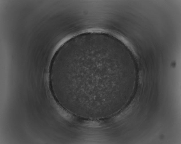 X0000096711229200802121218