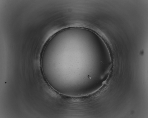 X0000096711230200802121218