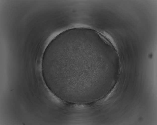 X0000096711231200802121218