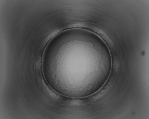 X0000096711233200802121218