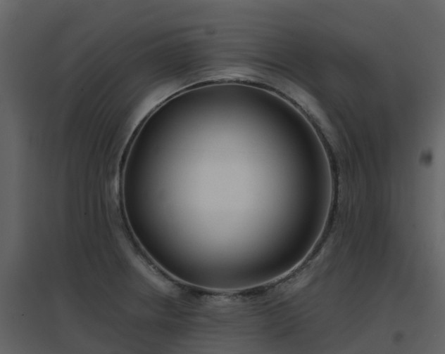 X0000096711234200802121218