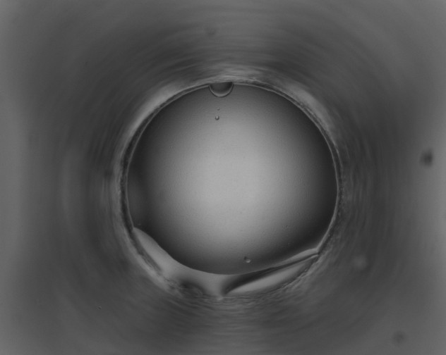 X0000096711235200802121218