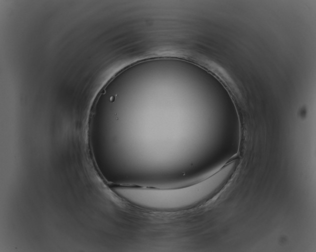 X0000096711236200802121218