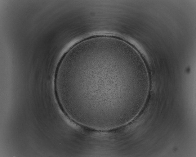 X0000096711237200802121218