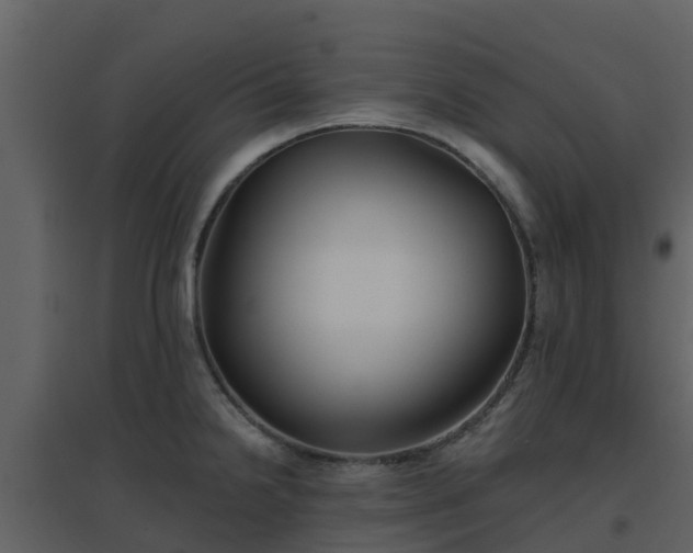 X0000096711238200802121218