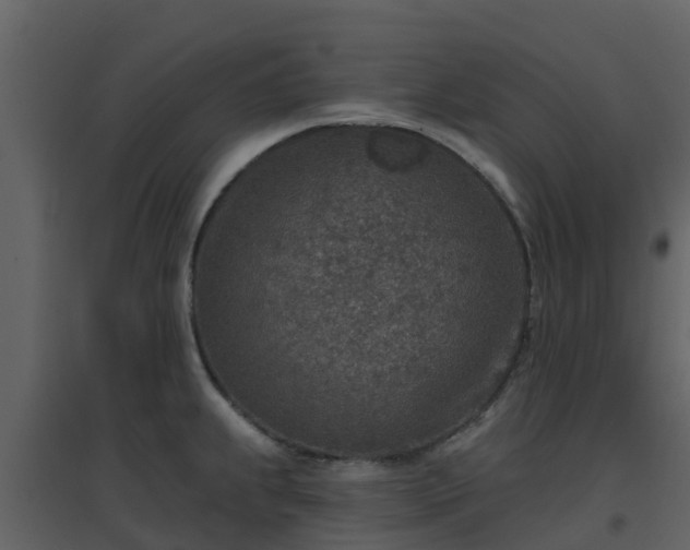 X0000096711239200802121218