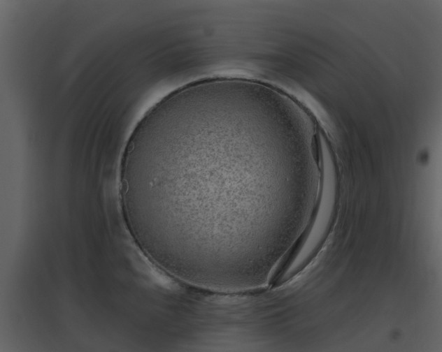 X0000096711240200802121218