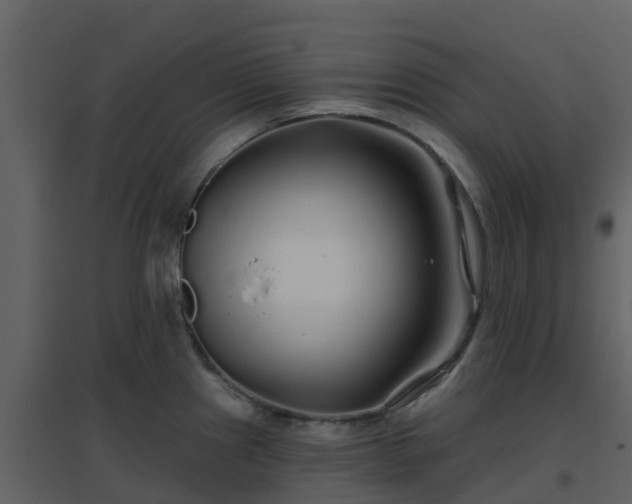 X0000096711241200802121218