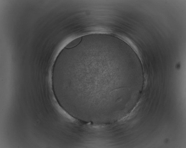 X0000096711243200802121218