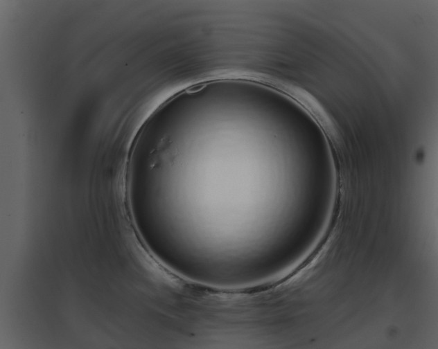 X0000096711244200802121218