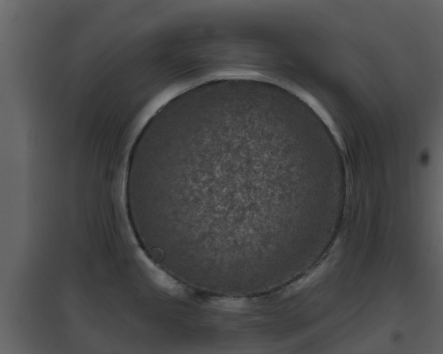 X0000096711245200802121218