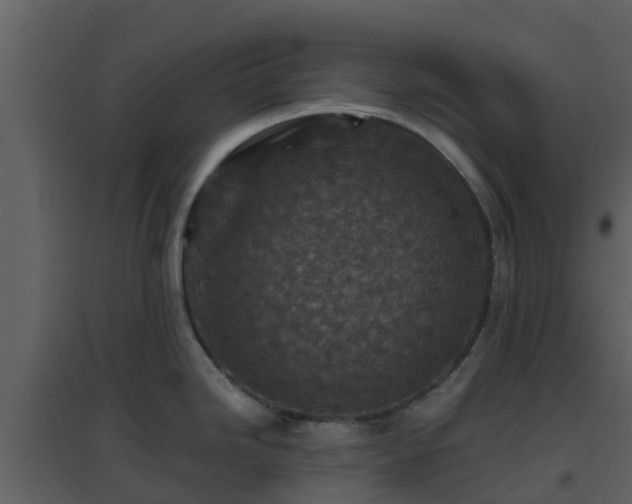 X0000096711246200802121218