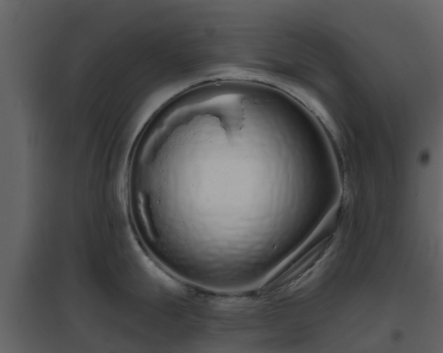 X0000096711247200802121218