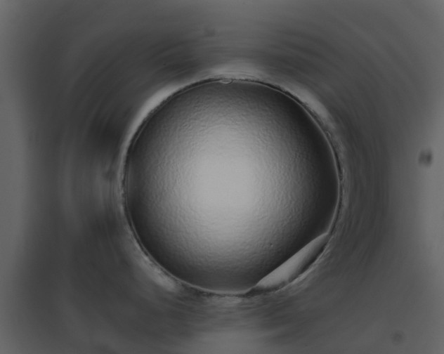 X0000096711248200802121218