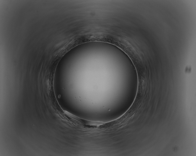 X0000096711250200802121217