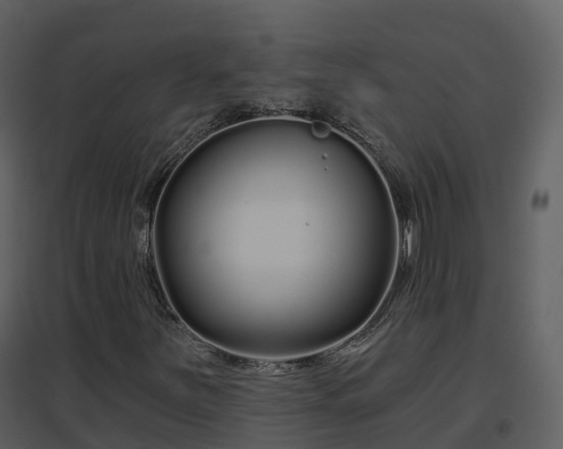 X0000096711251200802121217