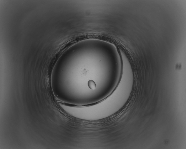 X0000096711252200802121217