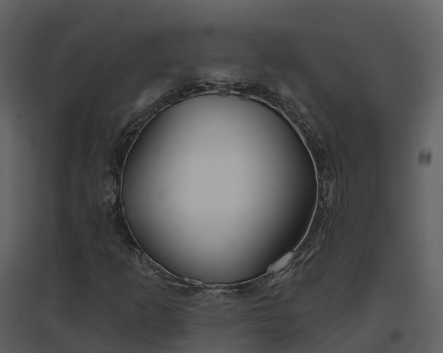 X0000096711253200802121217