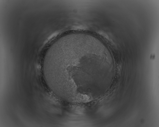 X0000096711254200802121217