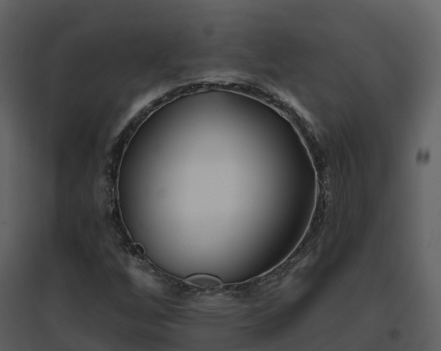 X0000096711256200802121217