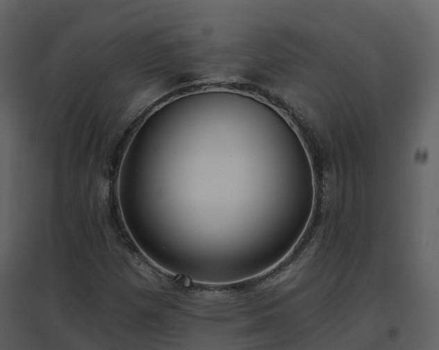 X0000096711257200802121217