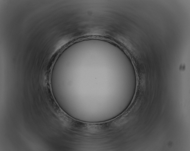 X0000096711258200802121217