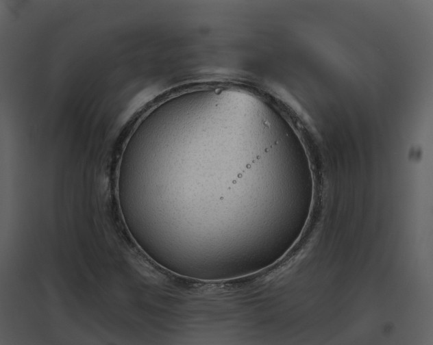 X0000096711259200802121217