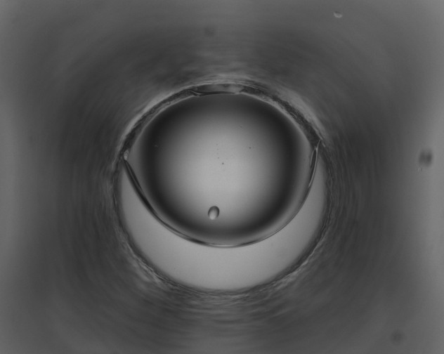 X0000096711260200802121217