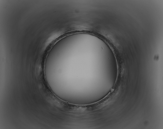 X0000096711261200802121217