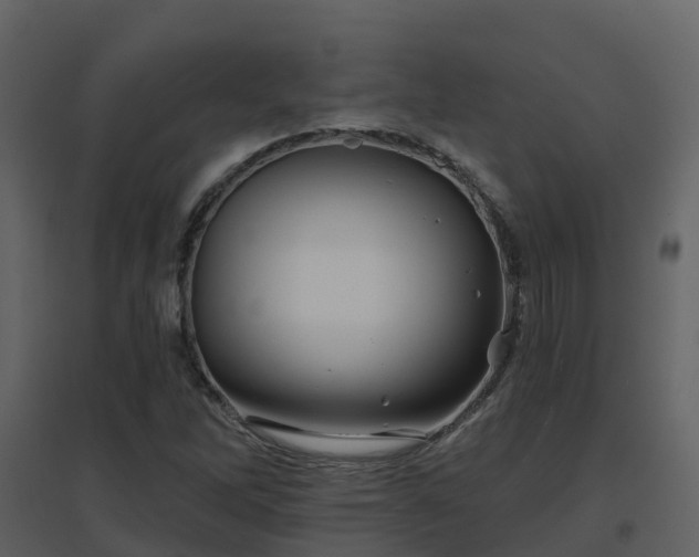 X0000096711262200802121217