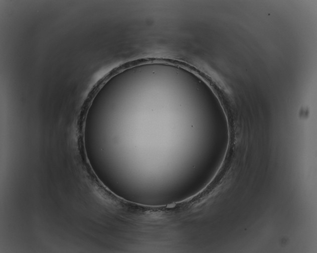 X0000096711264200802121217