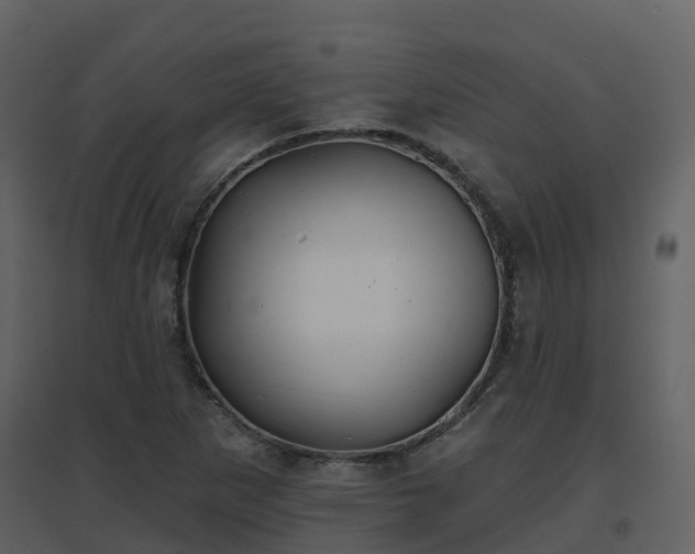 X0000096711265200802121217