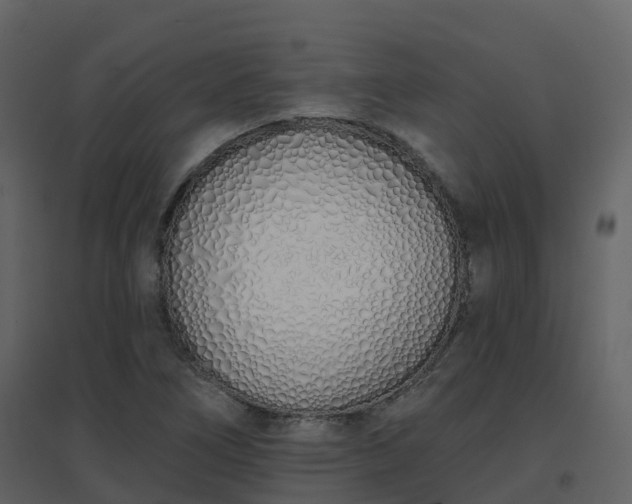 X0000096711266200802121217