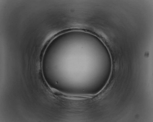 X0000096711267200802121217