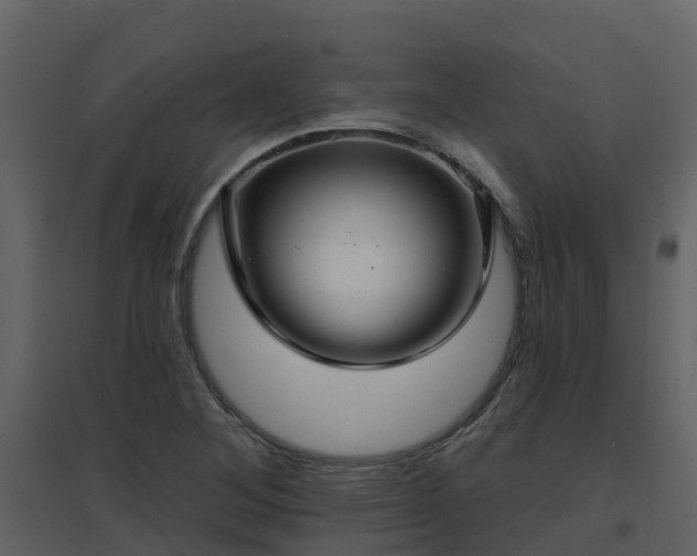 X0000096711268200802121217