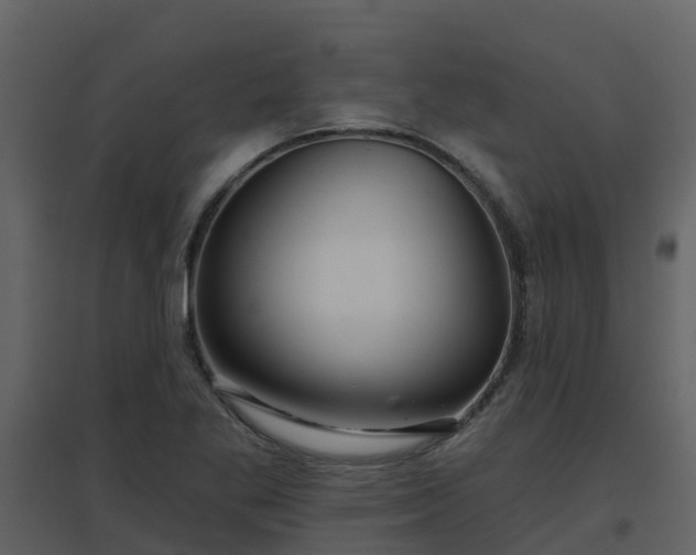 X0000096711269200802121217