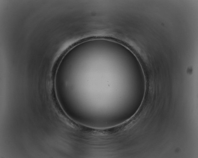 X0000096711270200802121217