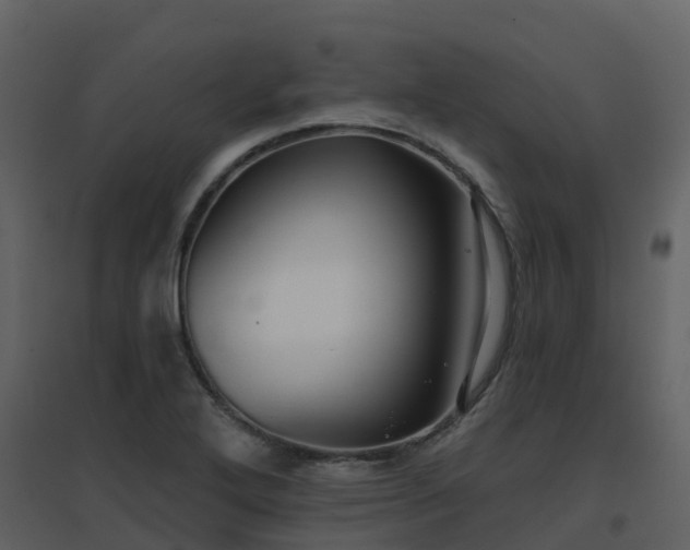 X0000096711272200802121217