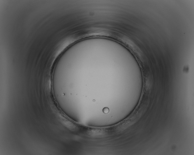 X0000096711274200802121217